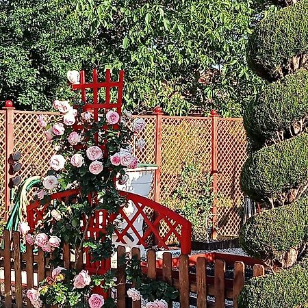 Une Pause Quelque Part Au Jardin Des Erables Et Des Niwakis Saint-Medard-de-Guizieres 외부 사진