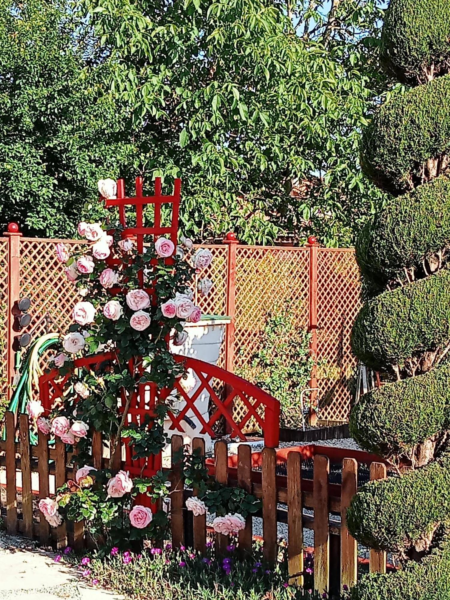 Une Pause Quelque Part Au Jardin Des Erables Et Des Niwakis Saint-Medard-de-Guizieres 외부 사진
